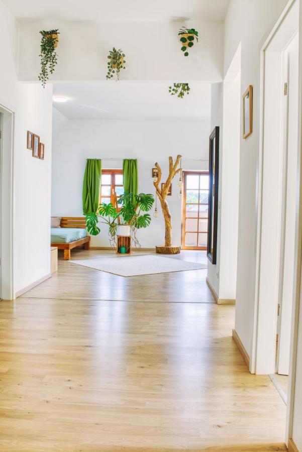 Luxus Apartment! Kueche, Balkon, Netflix, Parkplatz - 8 Personen Ilmmunster エクステリア 写真